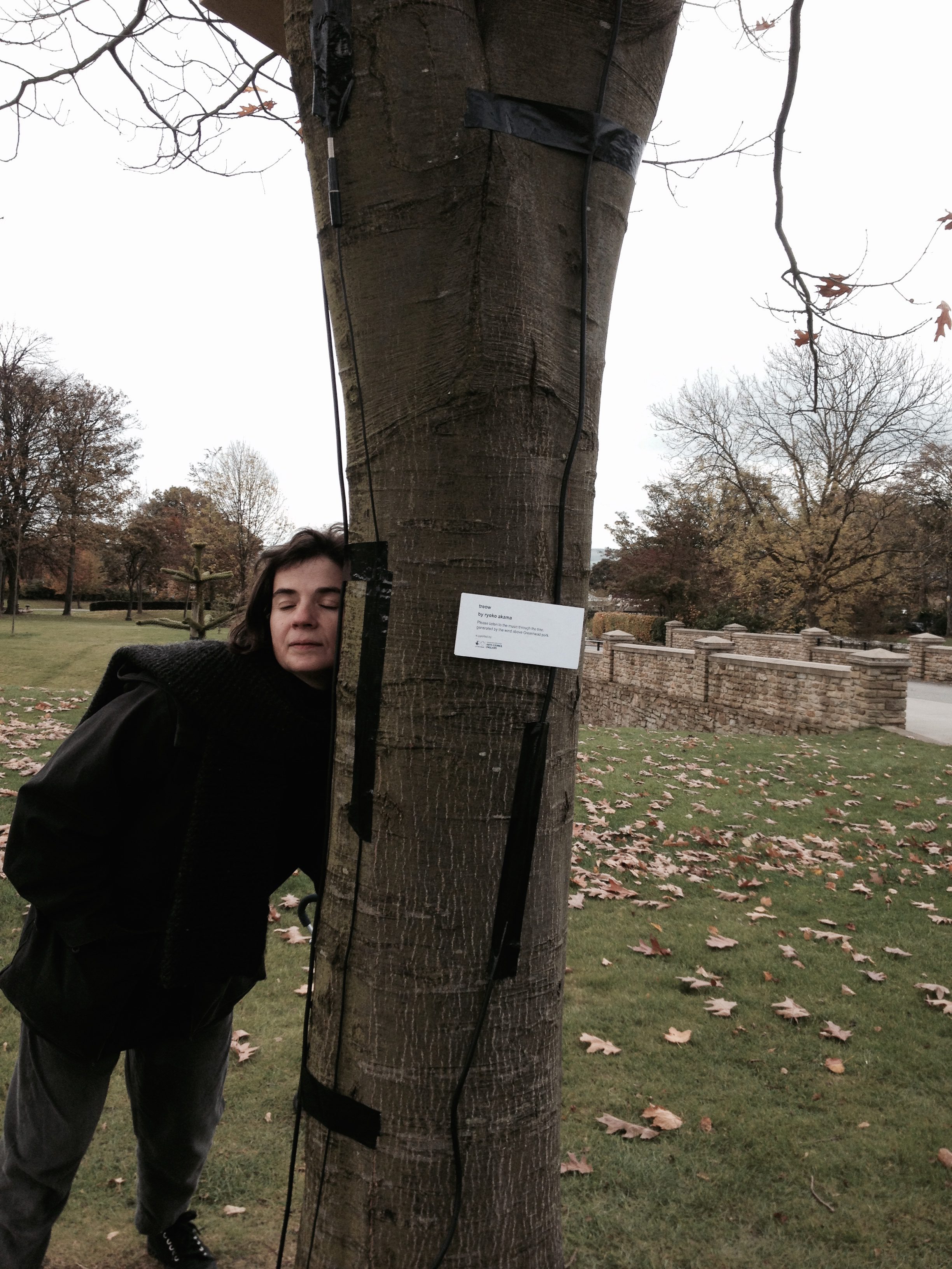 treow (2013 – 2015)