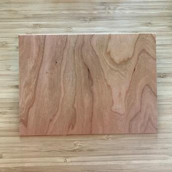 «INSCRIPTIONS» on Suppendaneum