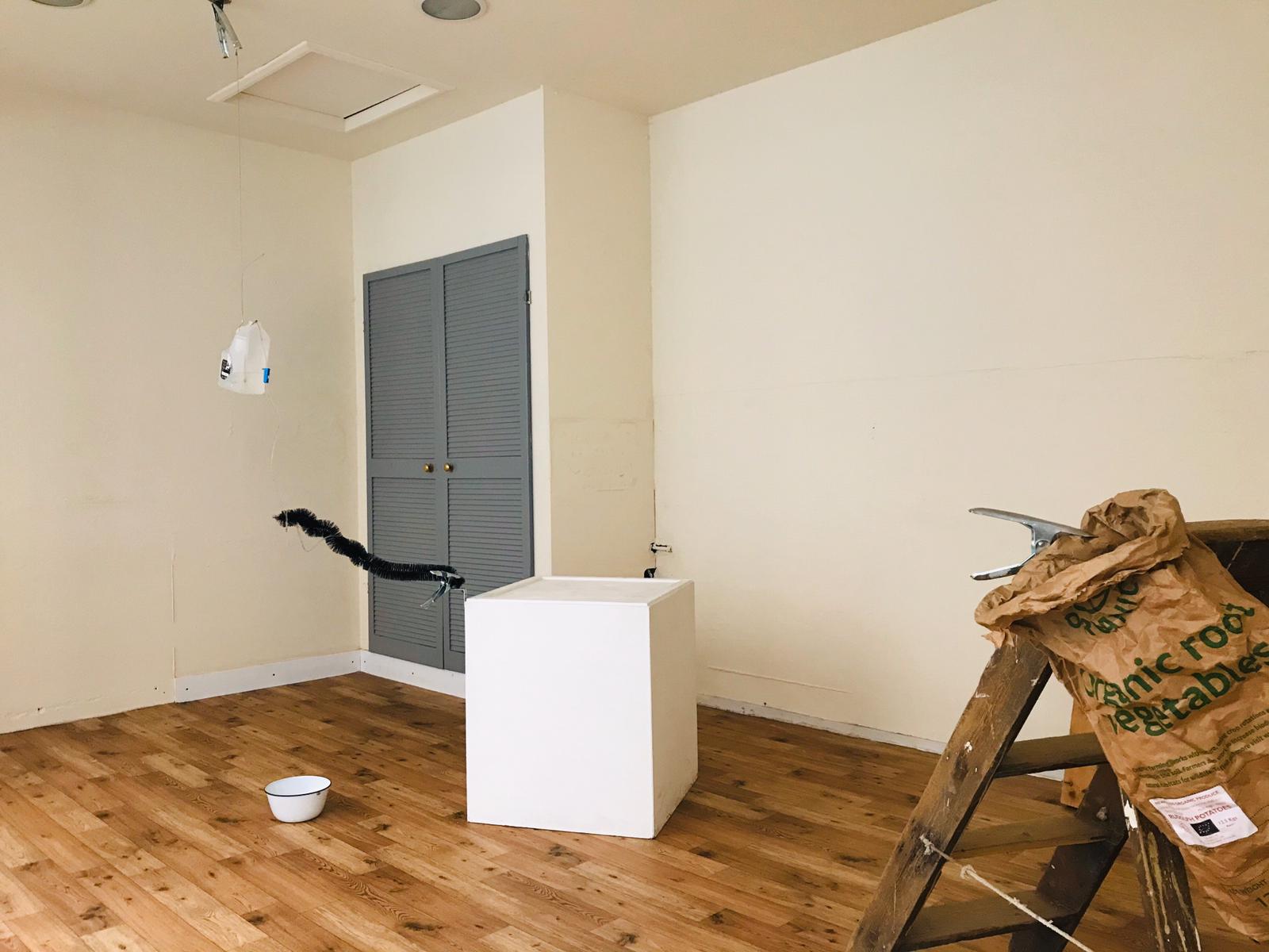 spot the difference (2019)